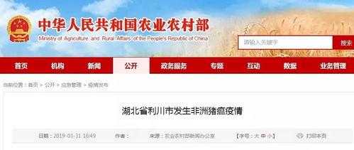 利川市新闻媒体爆料,重大事件引发社会关注! 第3张 利川市新闻媒体爆料,重大事件引发社会关注! 第3张